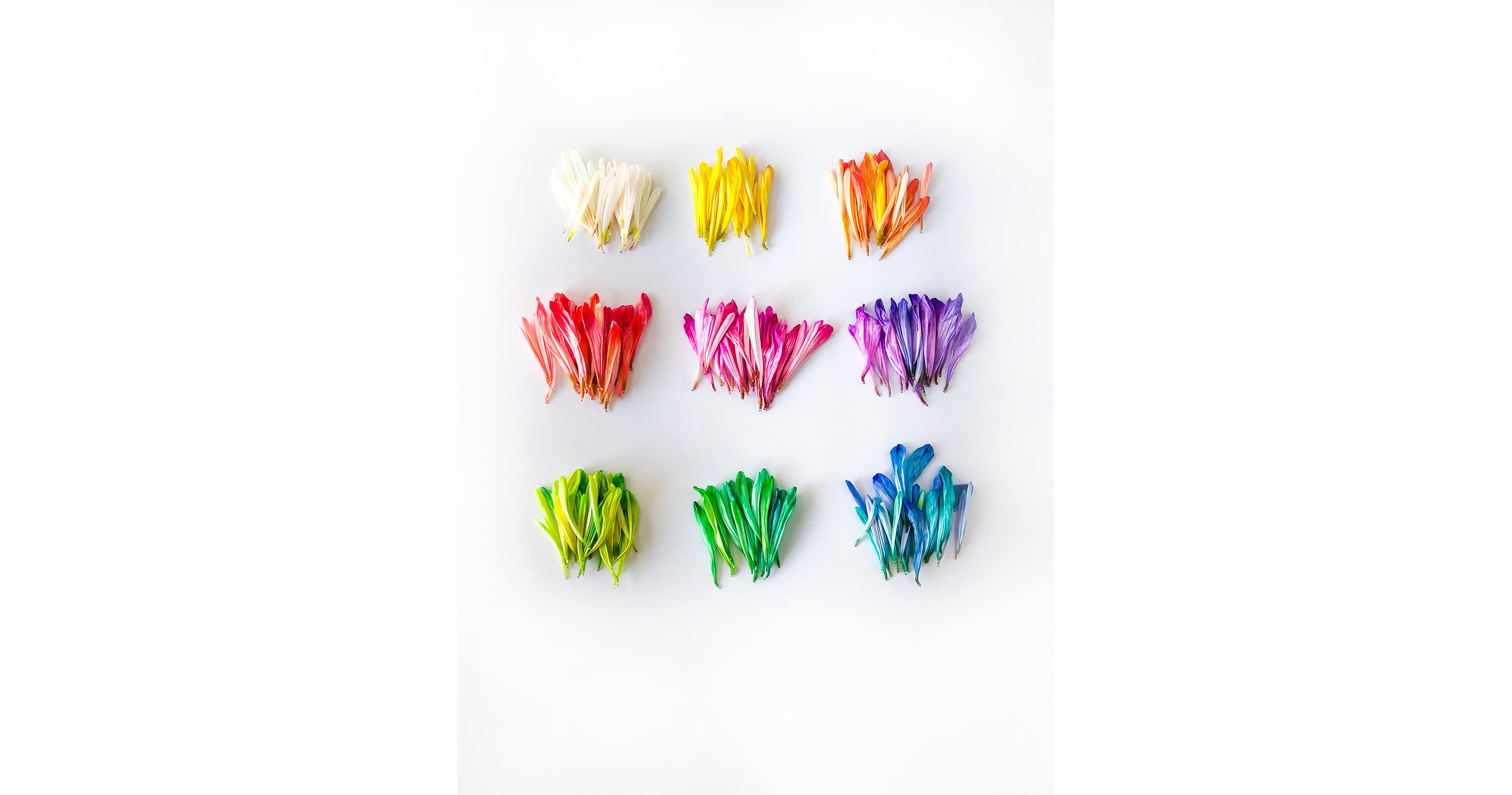 Introduction to Personal Content Curation